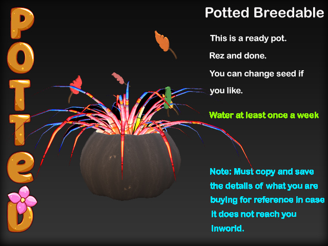 Potted ~ LE Pumpkin Patch - Black