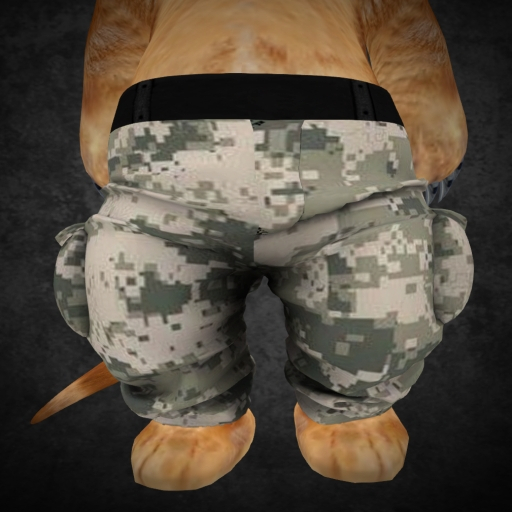 .::KS::.Dinkie-cargo-pants-camo-01