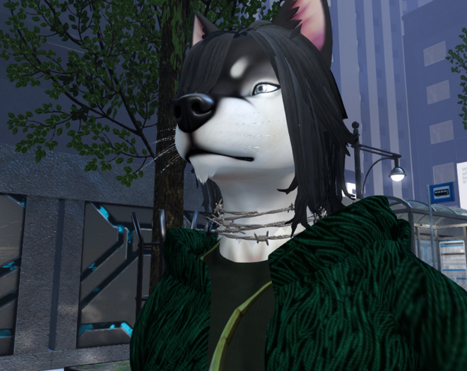 [DWAI] - wire collar