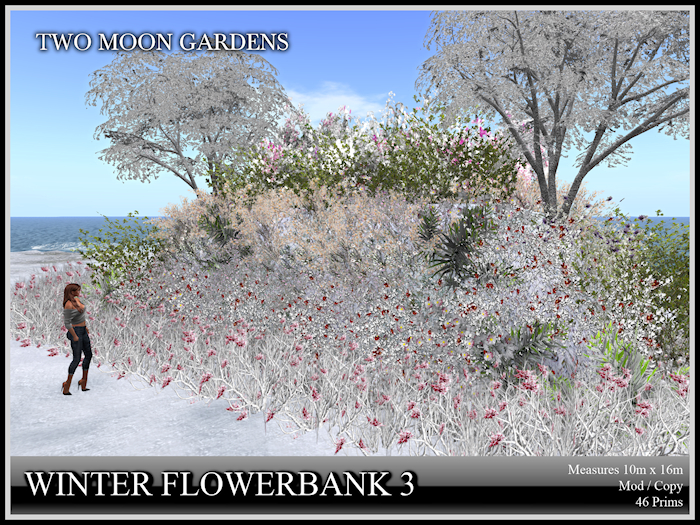 Winter Flowerbank 3