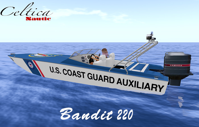 Bandit 220 USCG AUXILIARY