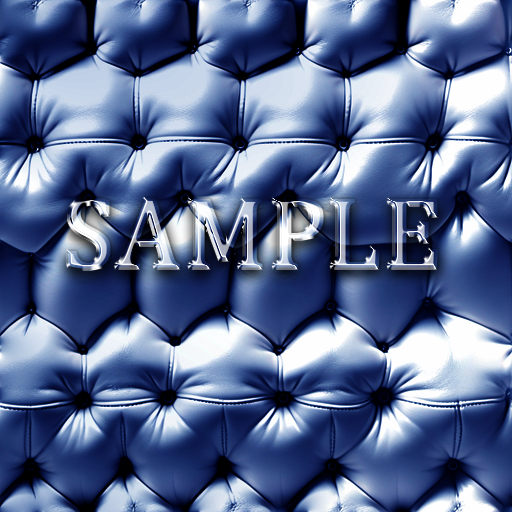 Zoy Texture [ Padded Leather 01 ] F
