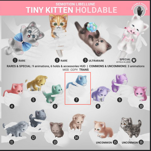 SEmotion Libellune Tiny Kitten Companion UNCOMMON 15