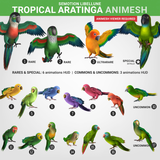 SEmotion Libellune Tropical Aratinga Animesh RARE 02