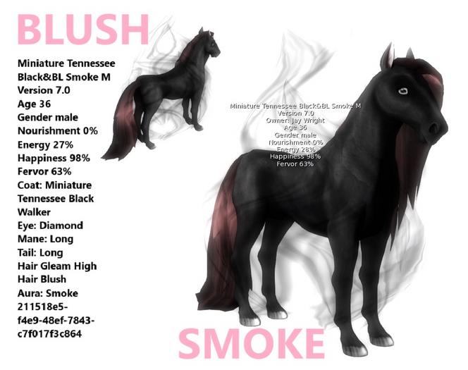 SMOKE BLUSH TEN MIN MALE