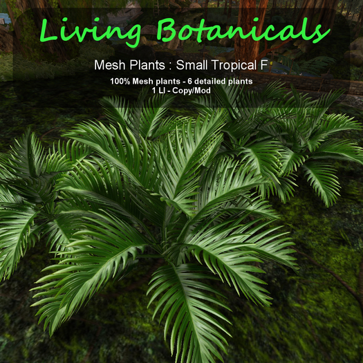 Inochi Botanicals : Mesh Plant - Small Tropical F