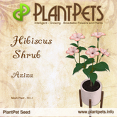PlantPet Seed [Hibiscus Shrub *Aziza*]