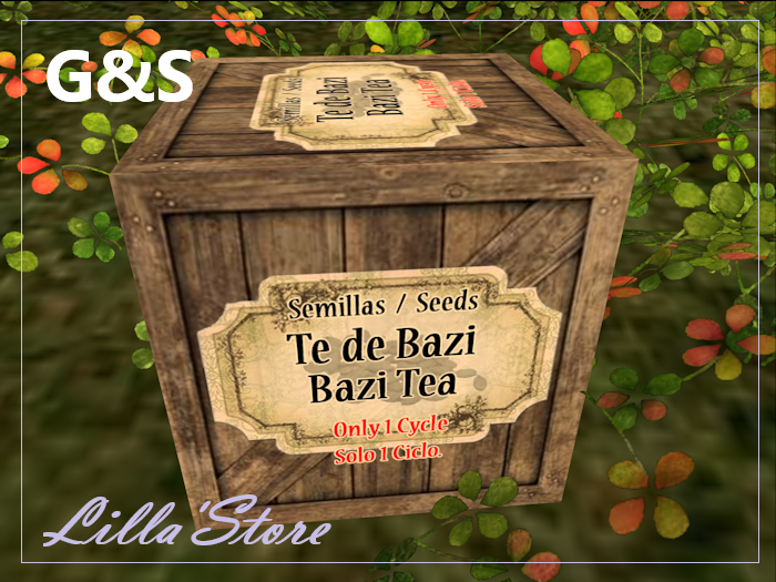 Bazi Tea seeds [G&S]