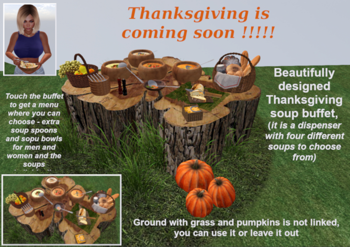 C.M.D. - Thanksgiving soup bufett NEW VB