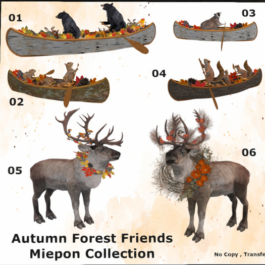 Autumn Canoe Raccoon