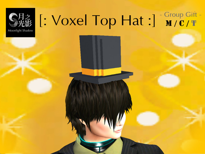 Gift [:: MS ::] Voxel Top Hat