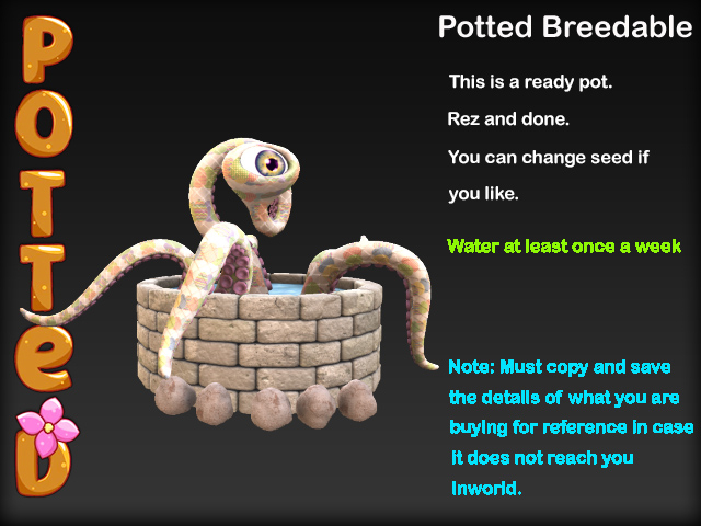 Potted ~ Karnivore Wishing Well Pot - Washed