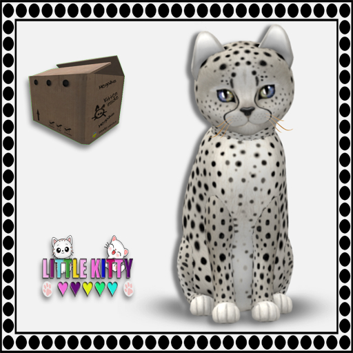 KittyCatS Box - 9T Cheetah! - Maltese /MagicKiss M