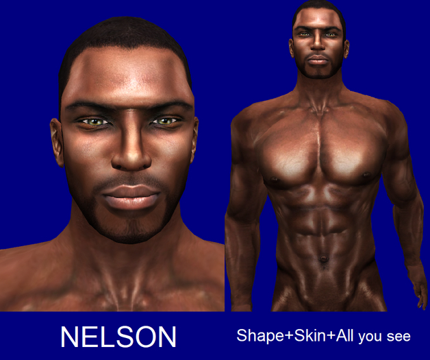 NELSON Shape & Skin
