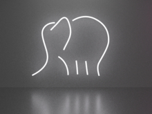 Elephant 1 neon sign Full Permission