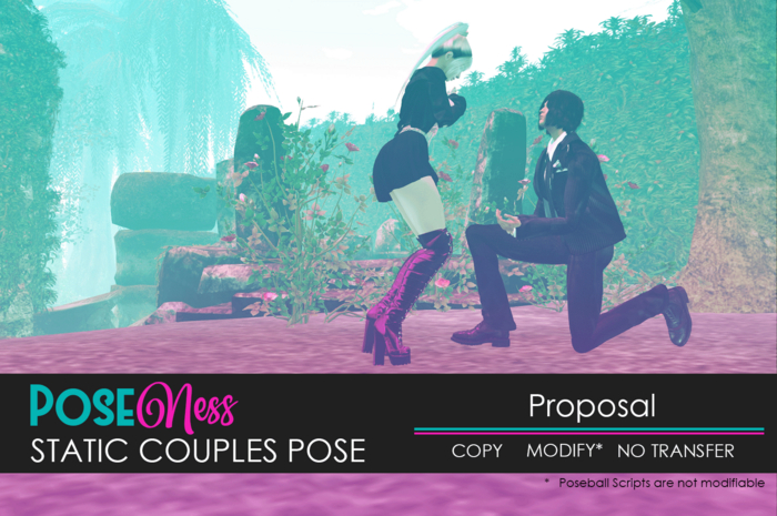 Static Couples Pose - Proposal