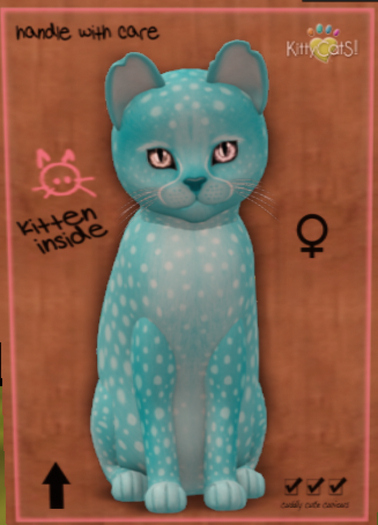 KittyCatS Box - New Born Kitten