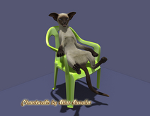 14-Mutresse-Dobby Cats