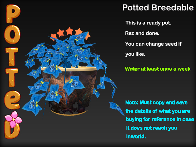 Potted ~ Zodiac Garden Ivy Pot - Leo