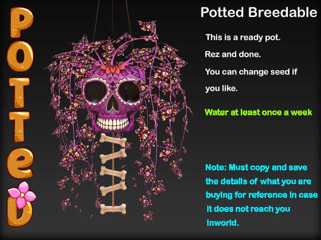 Potted ~ La Catrina Ivy Pot - Corazon