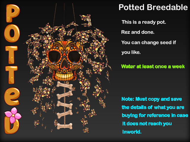 Potted ~ La Catrina Ivy Pot - Azteca
