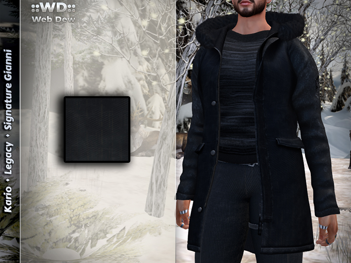 ::WD:: Parka [Male] - Black