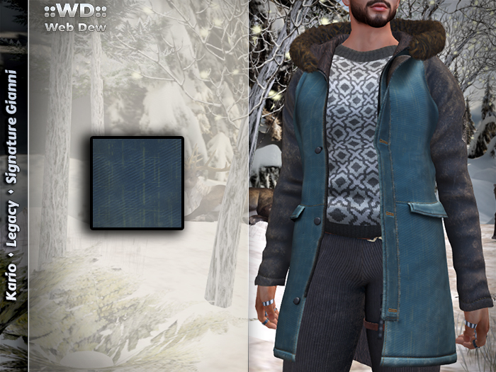::WD:: Parka [Male] - Teal