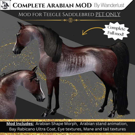 Wanderlust-Arabian Morph BayRab Boxed