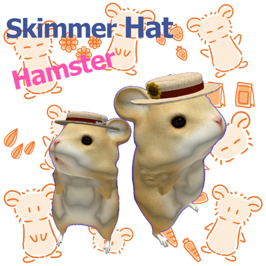 [TL] Skimmer Hat Box