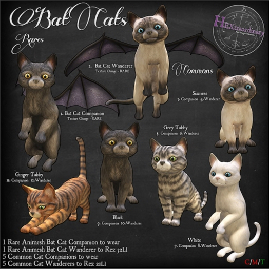 1. HEXtraordinary - Bat Cat - Companion - RARE
