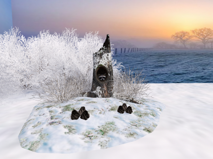 Tree Trunk with Raccoon - Winter