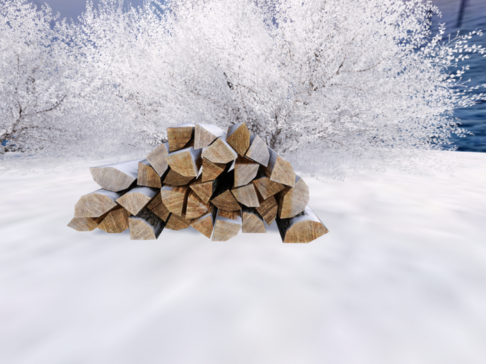 Winter Logs