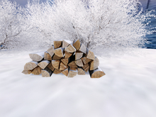 Winter Logs