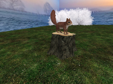 Teleport System withTree Trunk and Squirrel - New