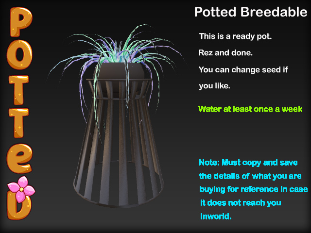 Wicker Spider Plant Pot - Gothic Charm -2023 Superstar