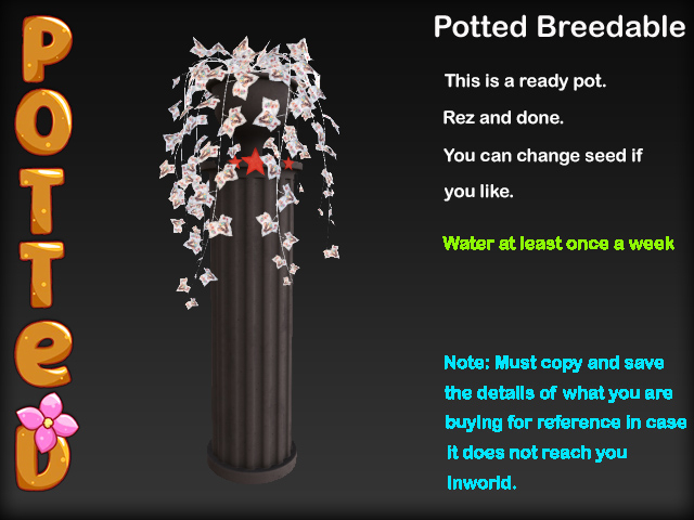 Potted ~ Wedding Pillar Ivy Pot - Black