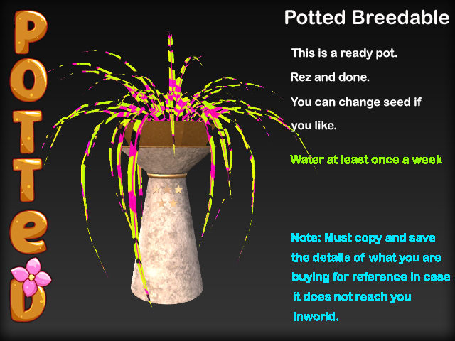 Potted - Romanesque Spider Plant Pot -Gray