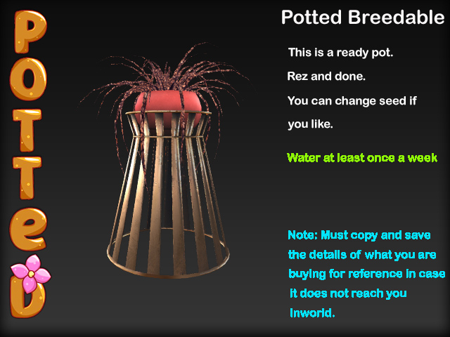 Potted ~ Wicker Spider Plant Pot - Red