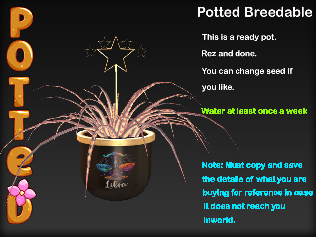 Potted ~ Sky Garden Spider Plant Pot - Libra