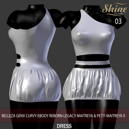 [SHINE FULL PERM] 03