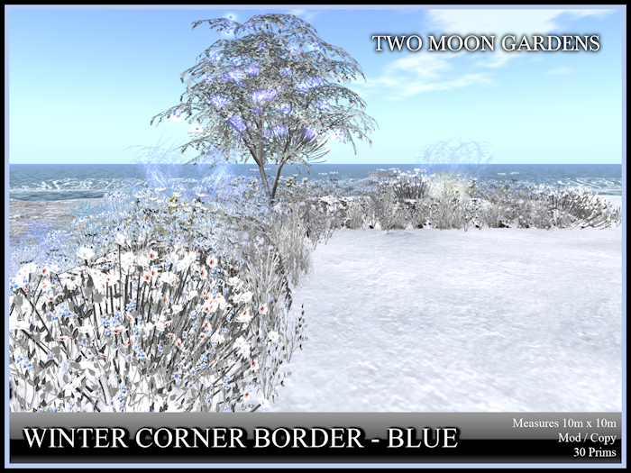 Winter Garden|CornerBorderBlue