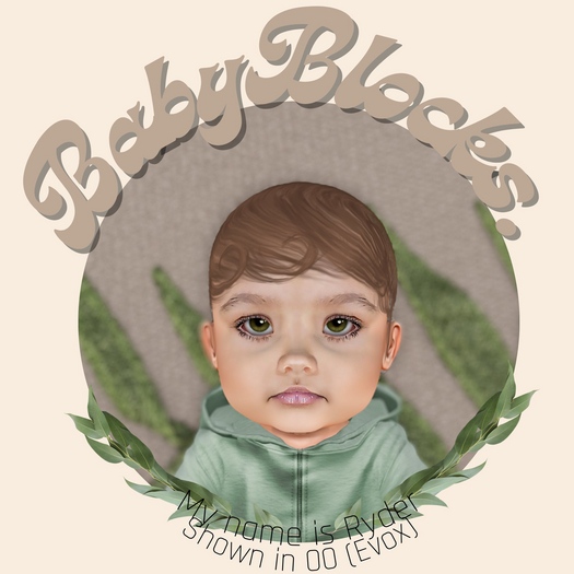 BabyBlocks. Ryder Skin 00