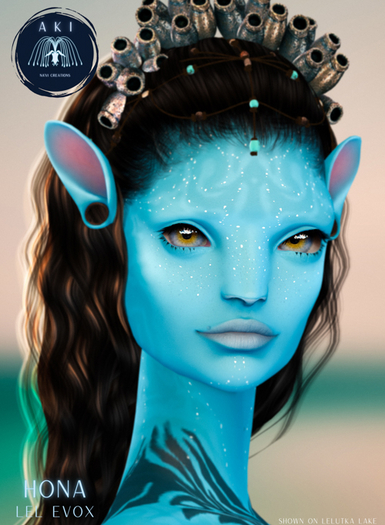 [Aki] Hona EVOX - ASH