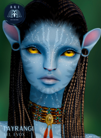 [Aki] Tayrangi EVOX - ICE