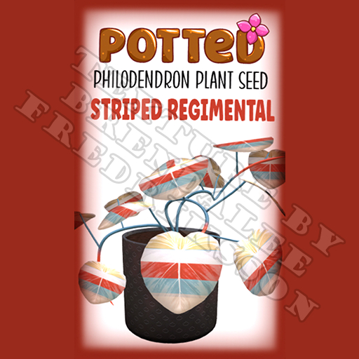 Potted: Philodendron Plant Seed: Striped Regimental (ACTUAL PLANT SEED)