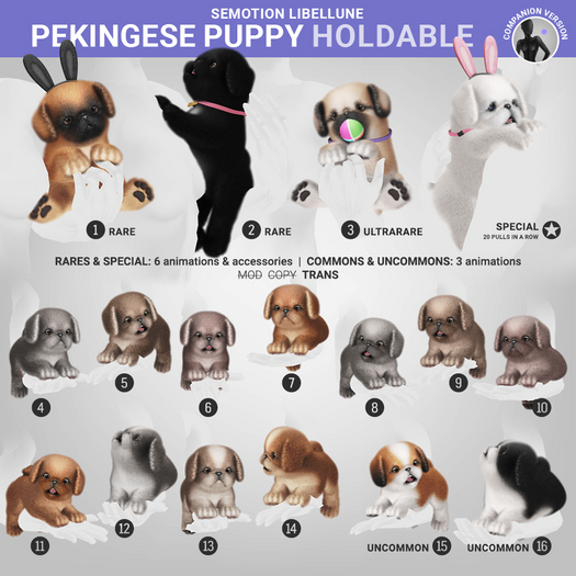 SEmotion Libellune Pekingese Puppy Holdable COMMON 13