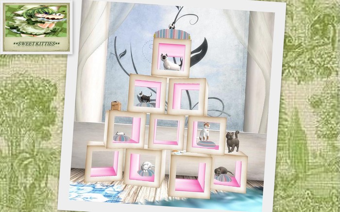 **Sweet Kitties** Shabby Pink Box Display
