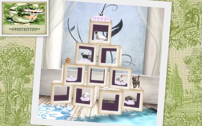 **Sweet Kitties** Shabby Lila Box Display
