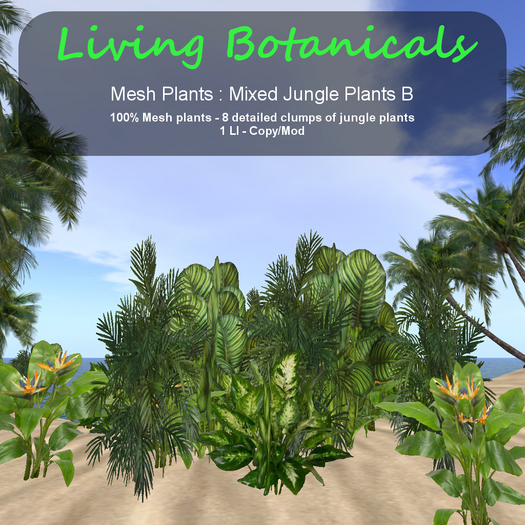 Inochi Botanicals - Jungle Edging B
