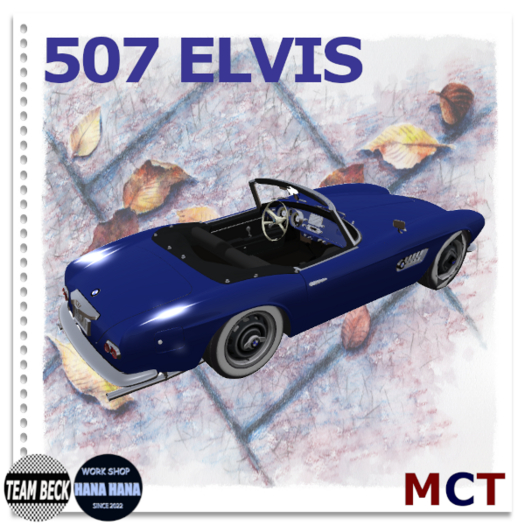 [HH] 507 ELVIS BOX